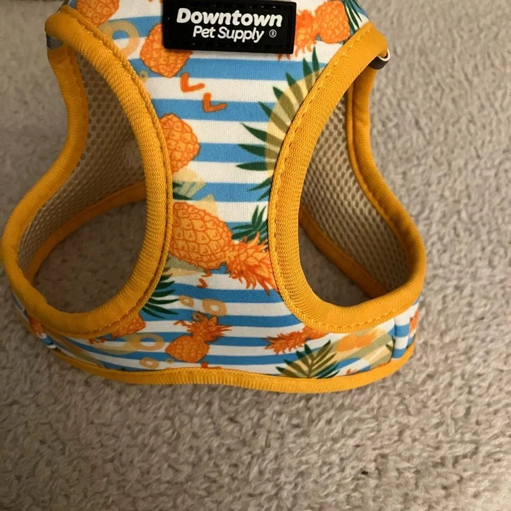 Dog harness - Picture 1 of 7